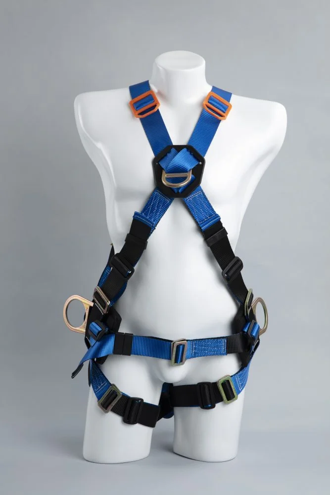 A-0344X-min-667x1000-1