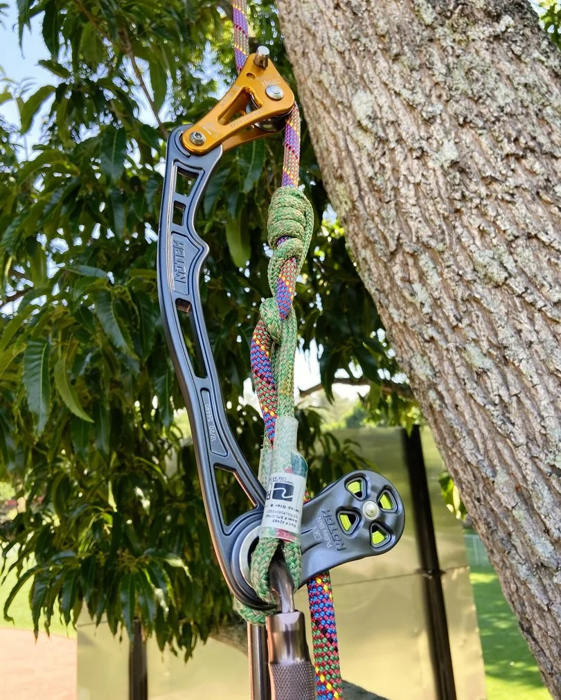 192749655_4370783289622342_1408864952255304370_n