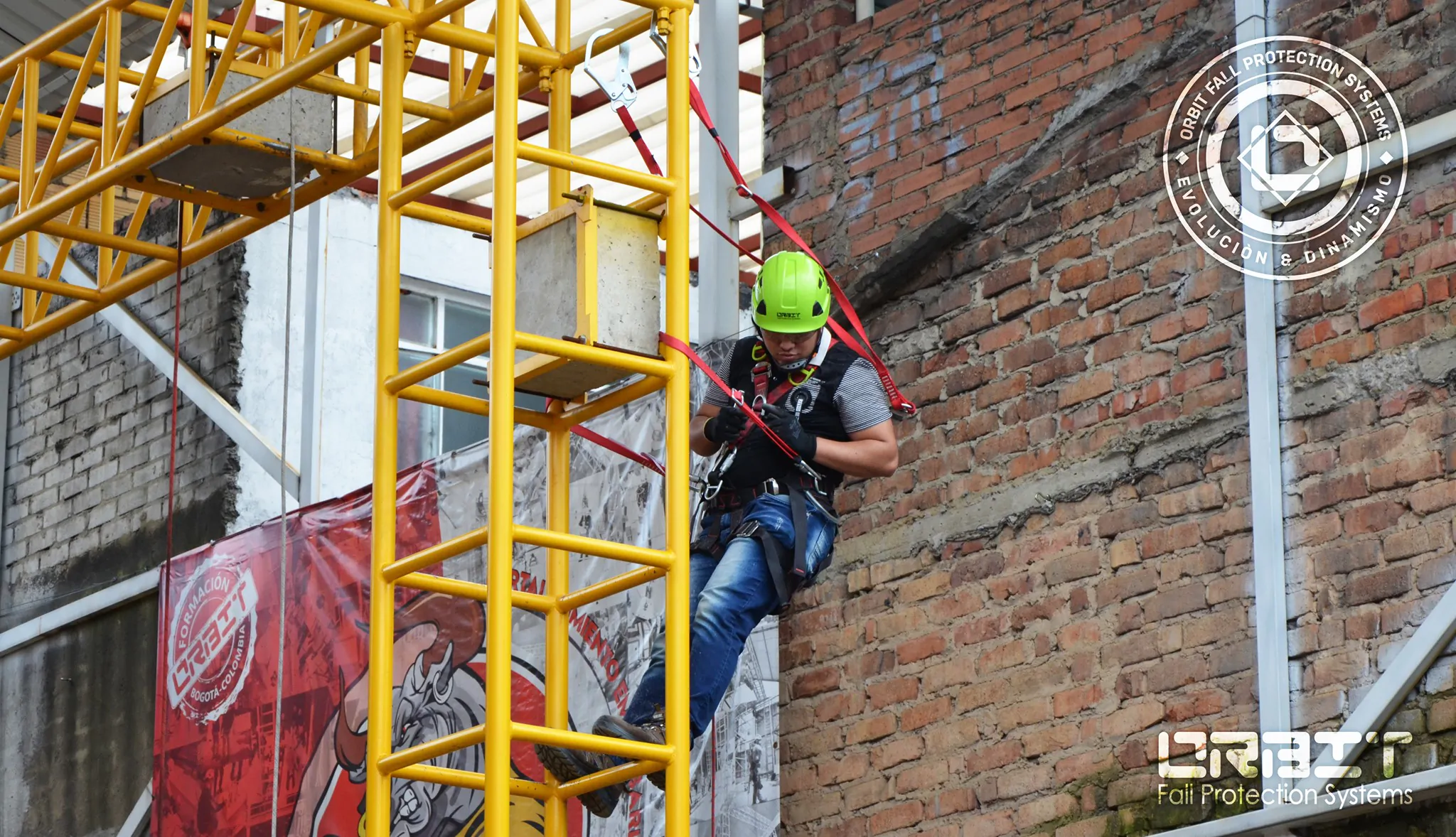 Listado De Productos Orbit - Imagen 5