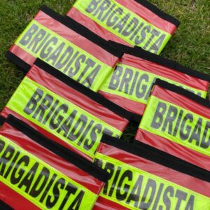 Brazaletes