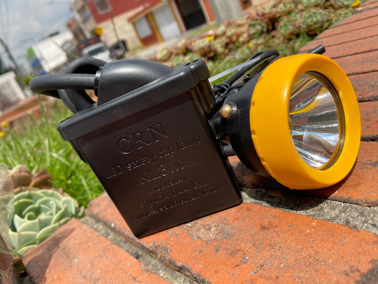 WhatsApp Image 2022-02-16 at 11.25