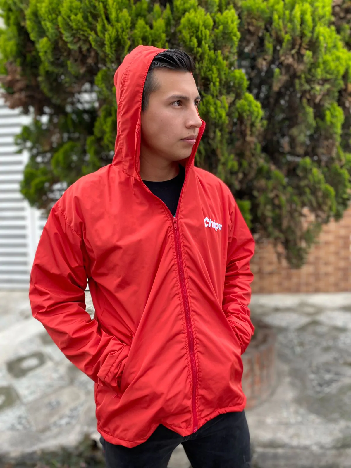 Chaquetas Personalizadas - Imagen 6