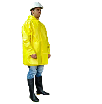 11-removebg-preview-294x300