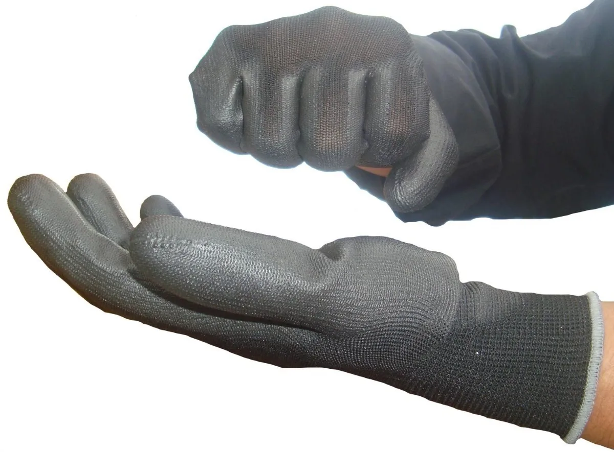 D_NQ_NP_2X_709772-MLM45116137509_032021-F