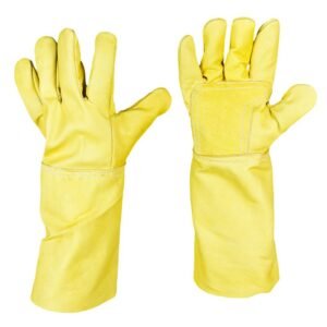 JPG-GTEVA-ING-REF-LAR