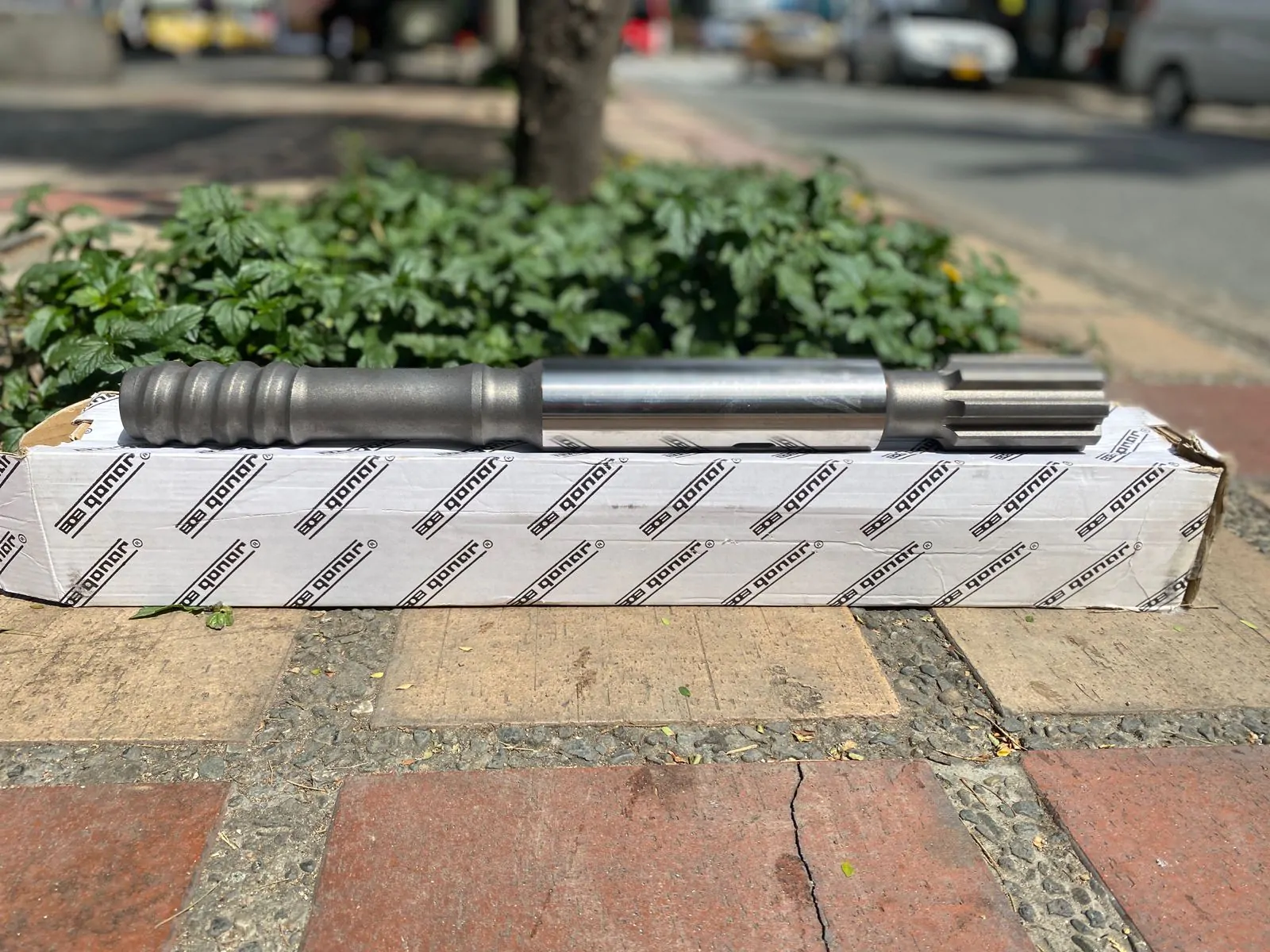 WhatsApp Image 2022-12-16 at 11.54