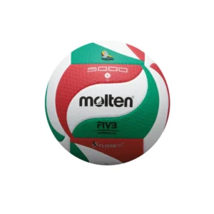 Balón Voleibol Profesional V5M5000