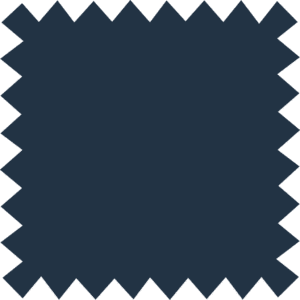 CV