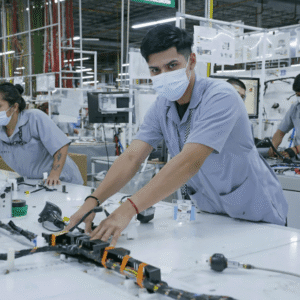 Sector Manufactura