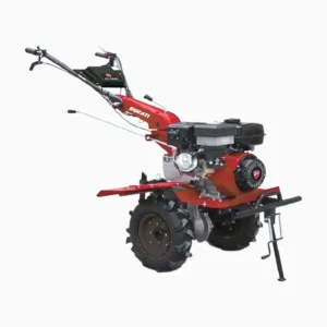 Motoazada Ducati Dtl11000