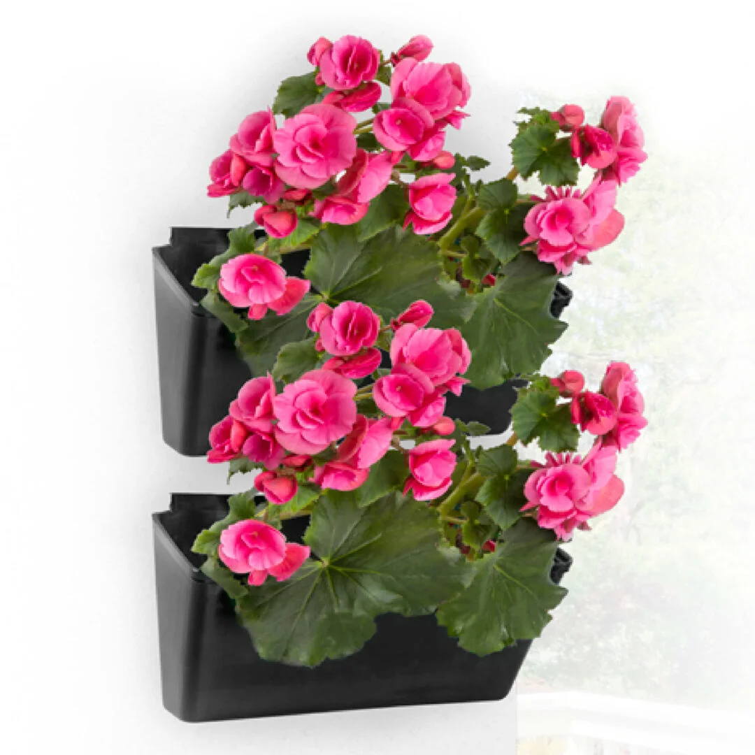 Matera Jardines Verticales