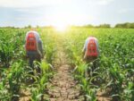 Productos Para Agricultores