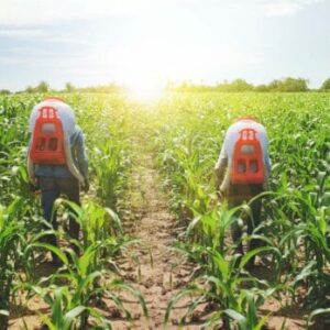 Listado De Productos Para Agricultores