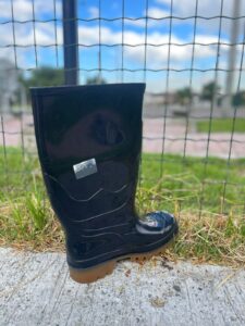 Bota La Fiera