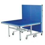 Mesa De Tenis Giant Dragon 25MM ITTF K2008-25