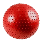 Pelota Masajes 65 CMS Miyagi 19QG082