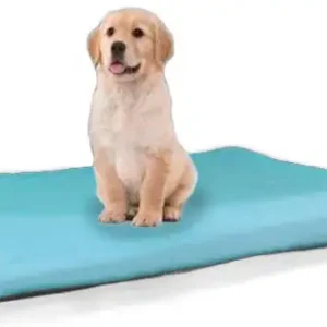 Cama Tapete